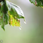 Kleine Projekte für schlechtes Wetter