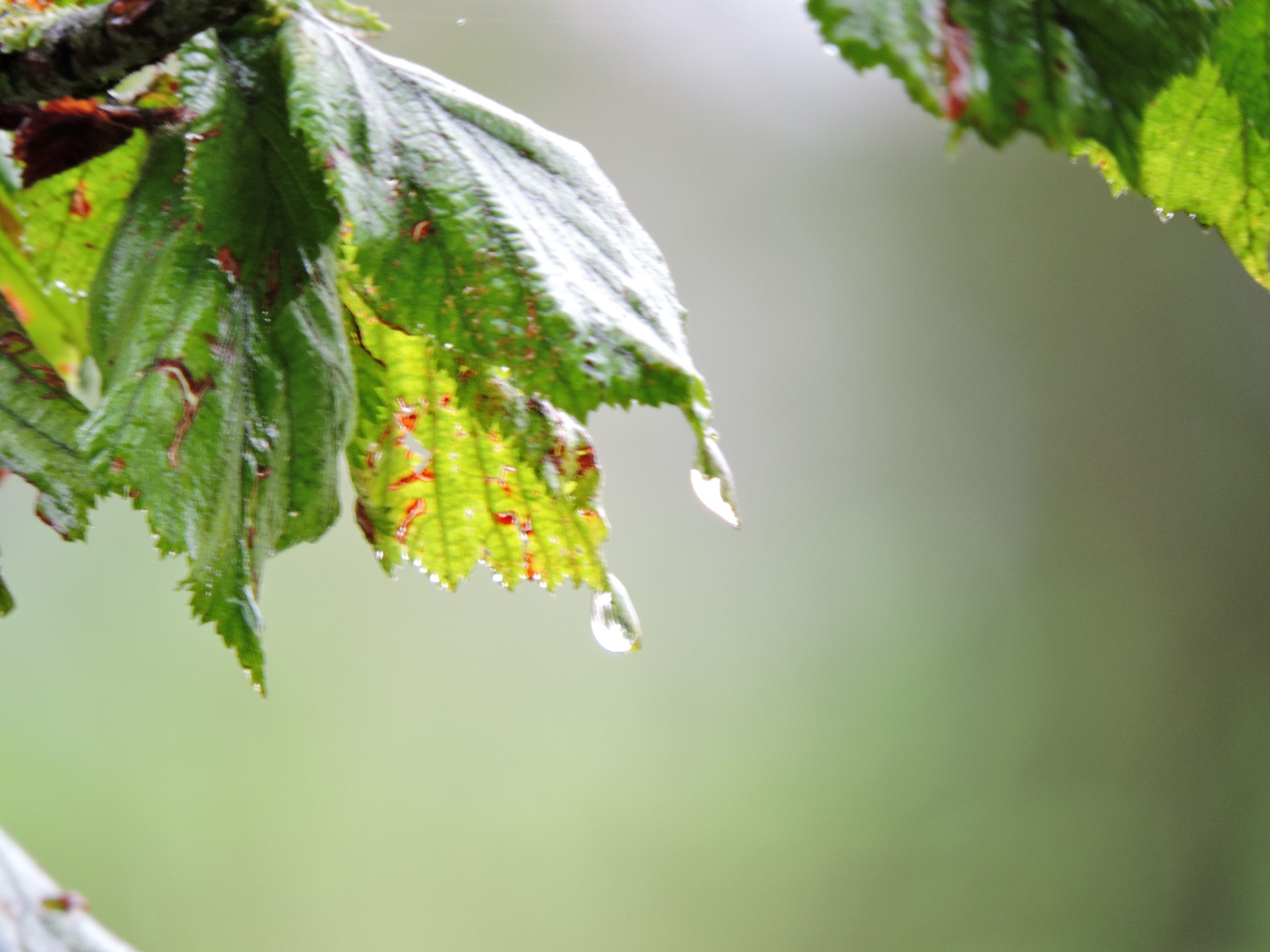 Kleine Projekte für schlechtes Wetter
